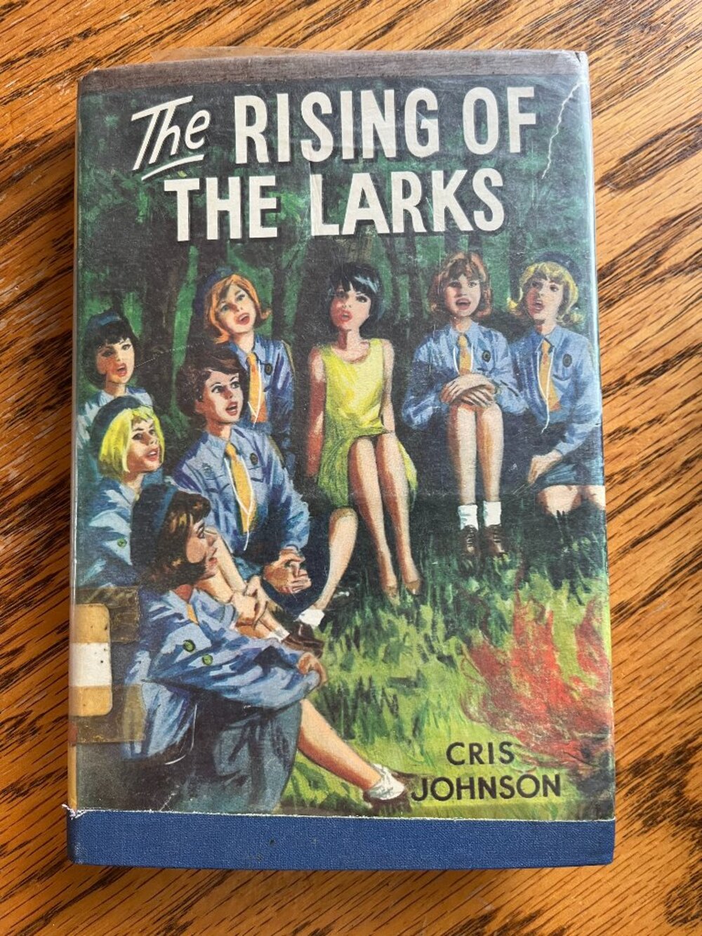 Antique Novel - Rising of the Larks